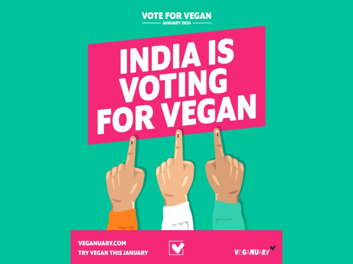 India Votes For Vegan It is a clear majority as nearly 60% Indians want to try vegan