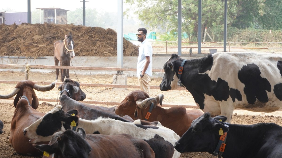 From Farm to Family – Karna Desai’s Vision for a Sustainable Dairy Future